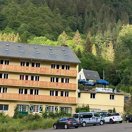 Les Mouflons 3* Le Mont-Dore