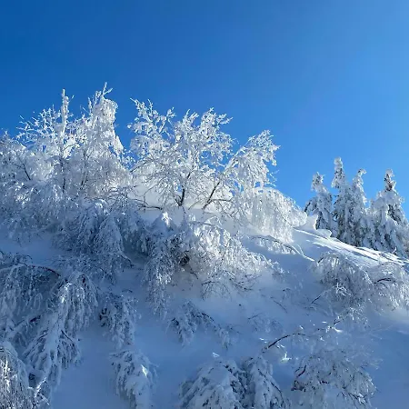Les Mouflons Hotel Le Mont-Dore