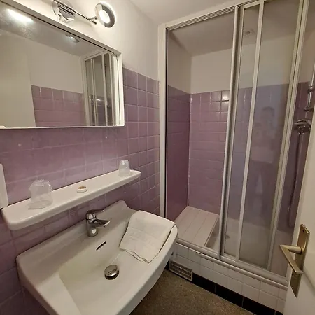 Hotel Les Mouflons 3*