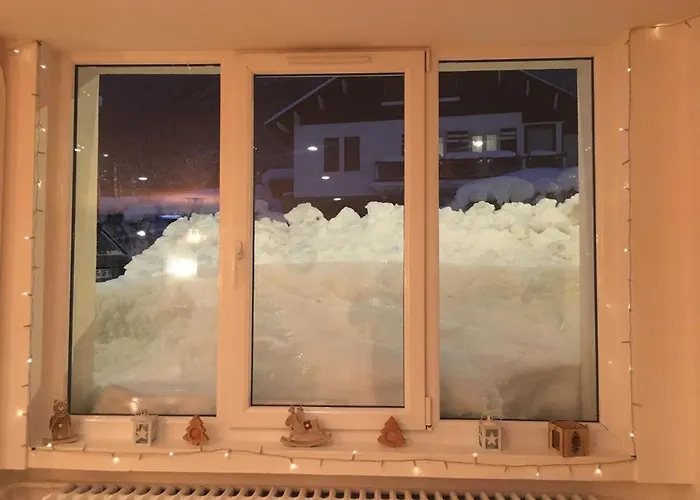 Отель Les Mouflons Ле-Мон-Дор