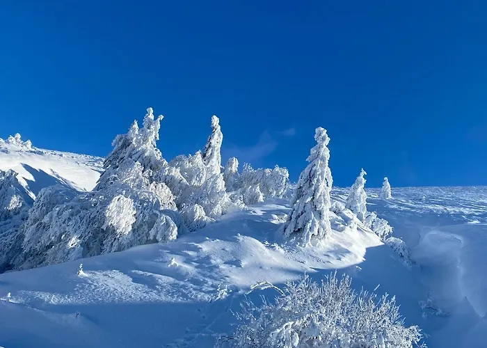 Отель Les Mouflons