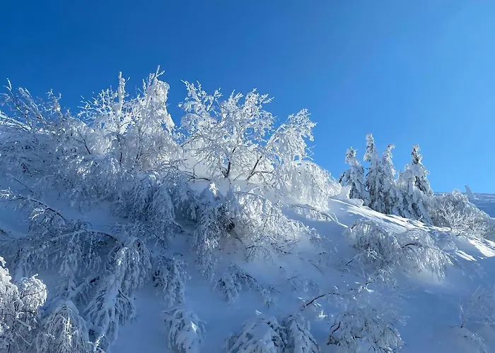 Les Mouflons Otel Le Mont-Dore