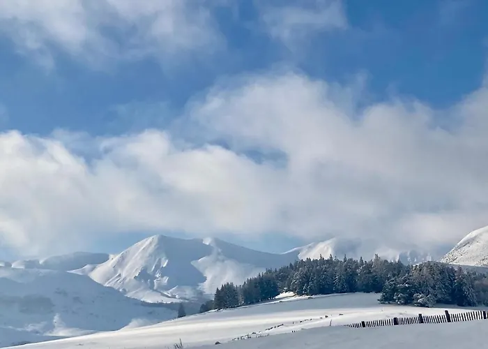 Les Mouflons Otel Le Mont-Dore