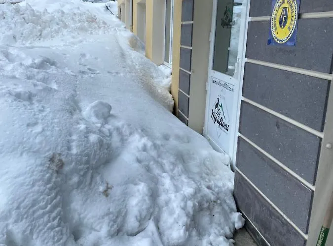 Les Mouflons 3* Le Mont-Dore