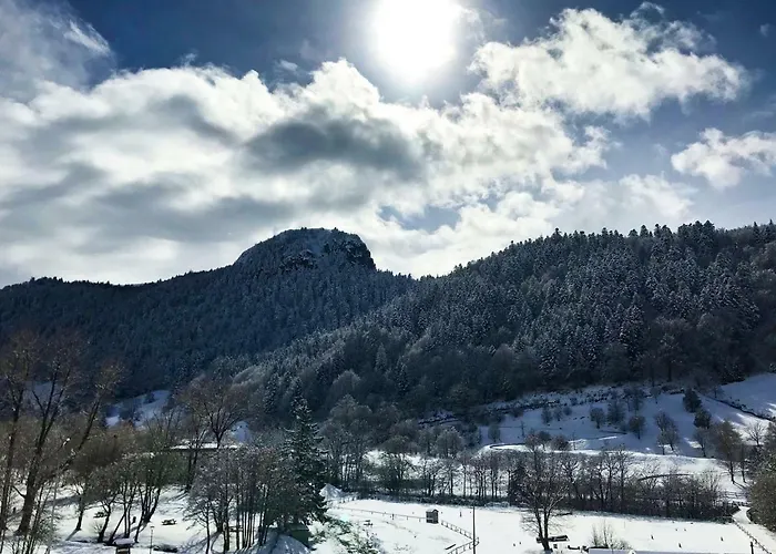 Les Mouflons 3* Le Mont-Dore