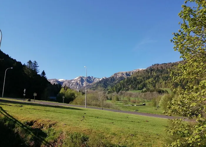 Отель Les Mouflons 3*